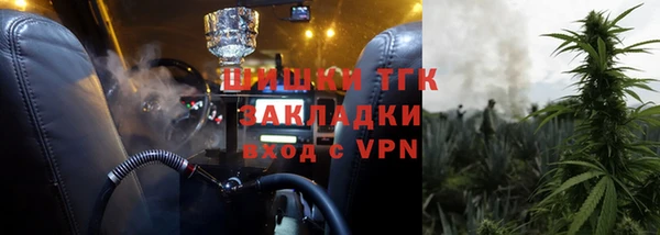 тгк Елизово
