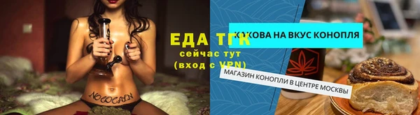 тгк Елизово