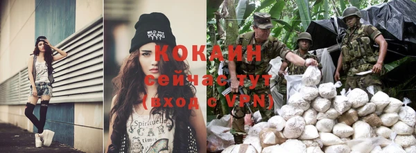 тгк Елизово