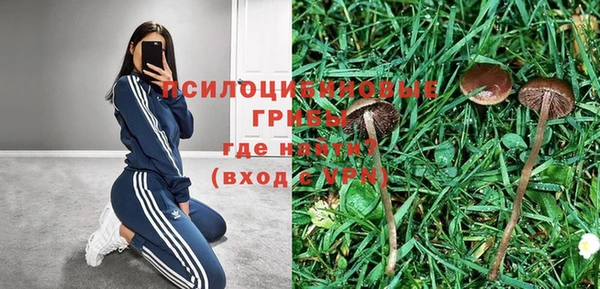 ALPHA PVP Ельня