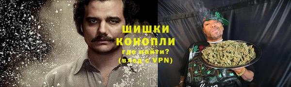 тгк Елизово