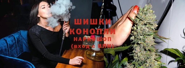 тгк Елизово