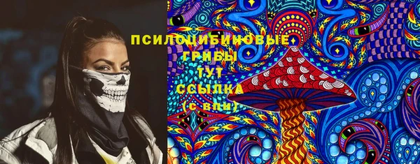 кокс Дмитриев